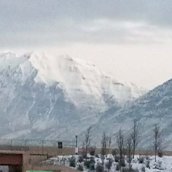 Meet your Posher, Kevin - Picture 1 of 1